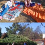 Konečně sluníčko!