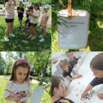 Včelí stezka v místním parku